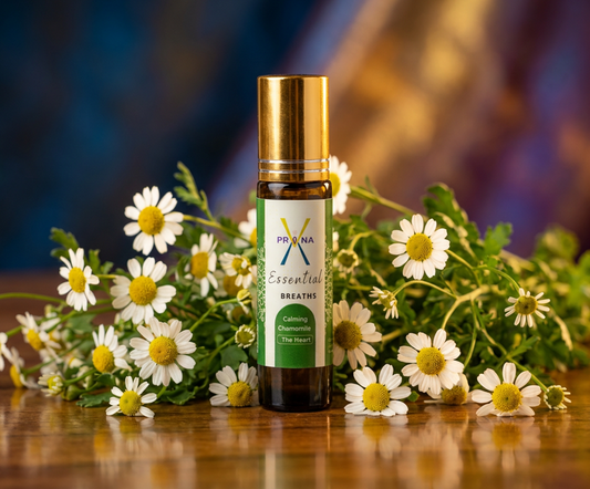 Calming Chamomile — The Heart